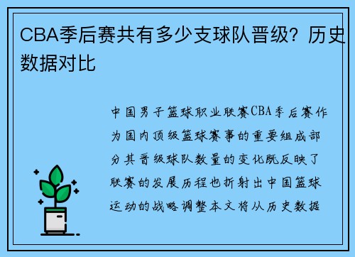 CBA季后赛共有多少支球队晋级？历史数据对比