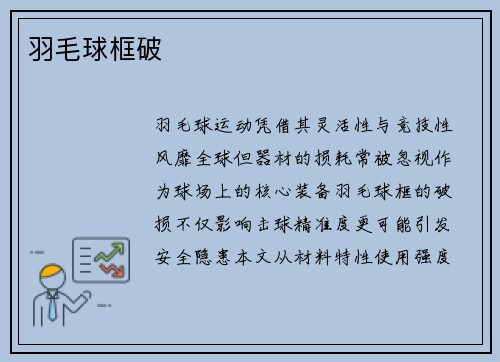 羽毛球框破